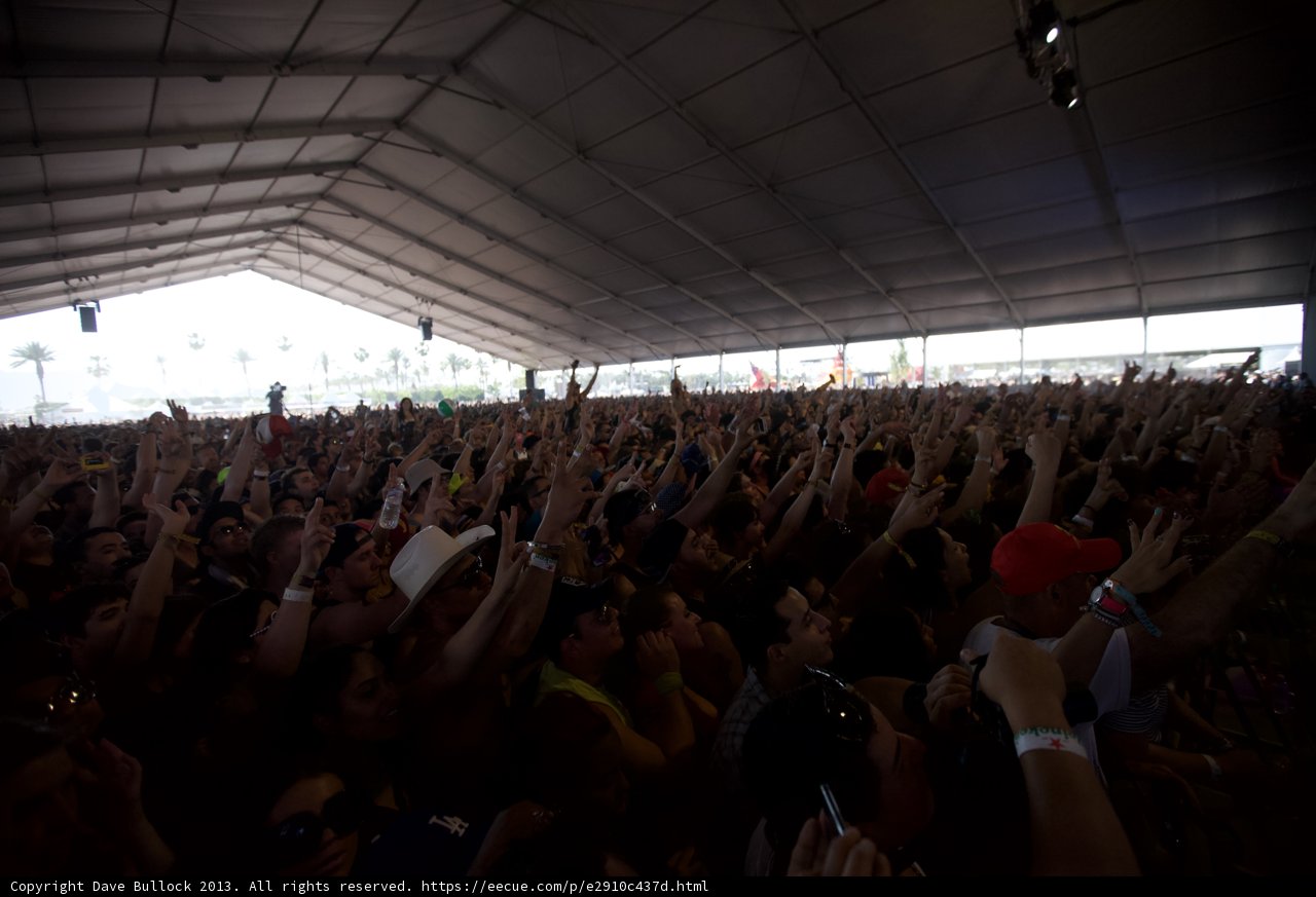 Music Festival Madness