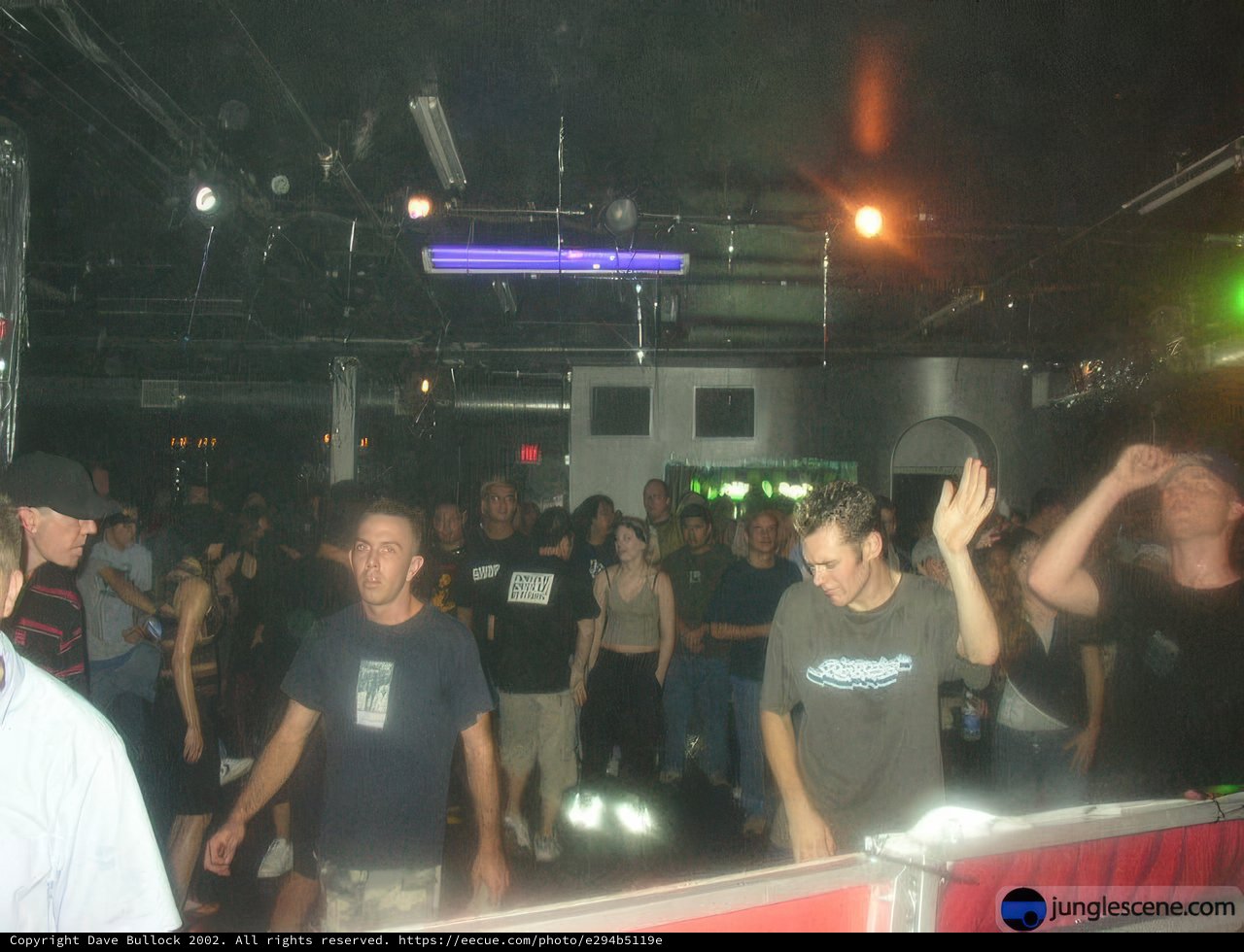 Nightlife at the Divine Playground