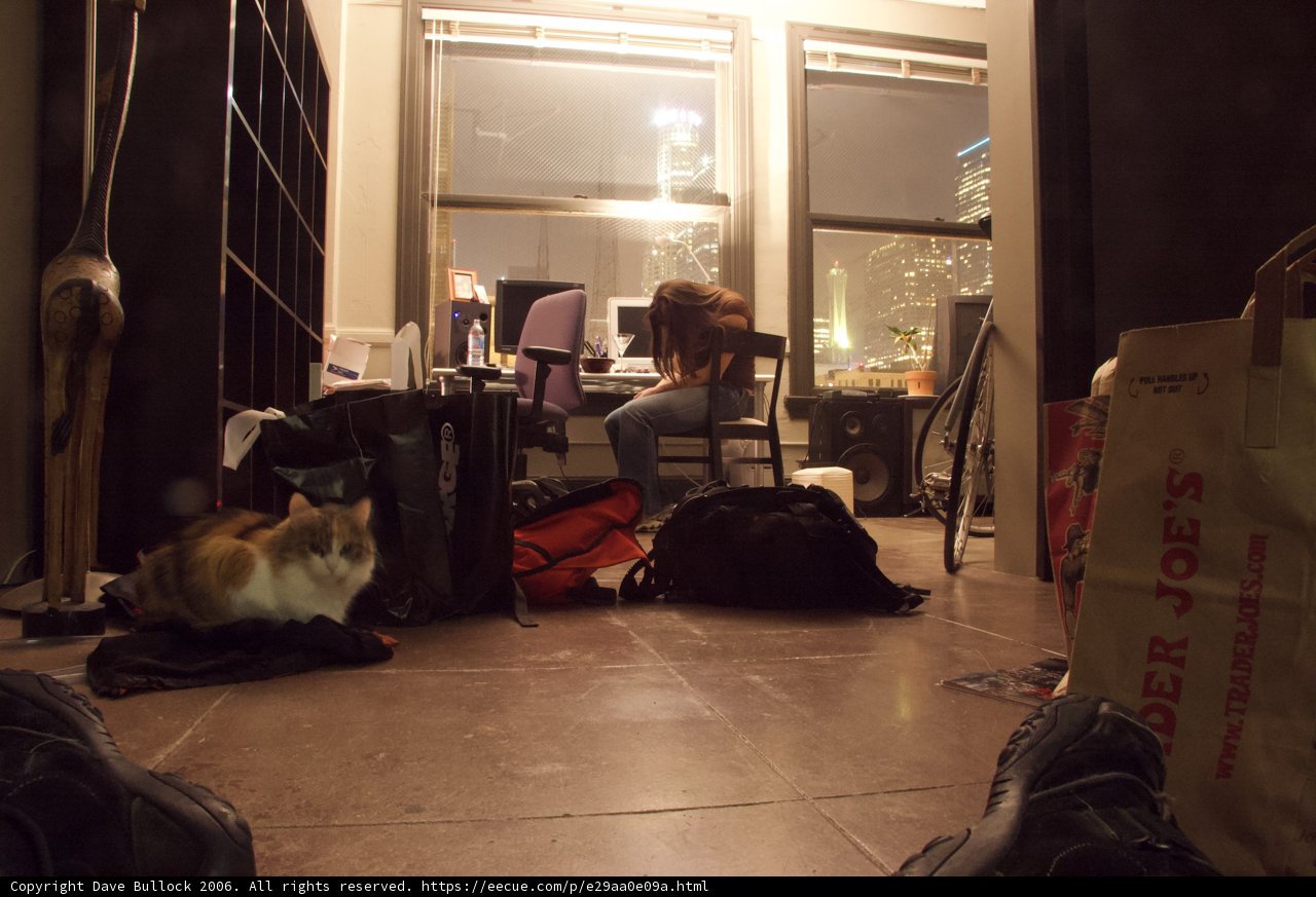The Cat Lady
