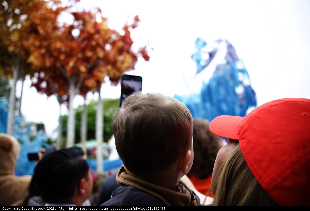 Capturing Memories at Disneyland