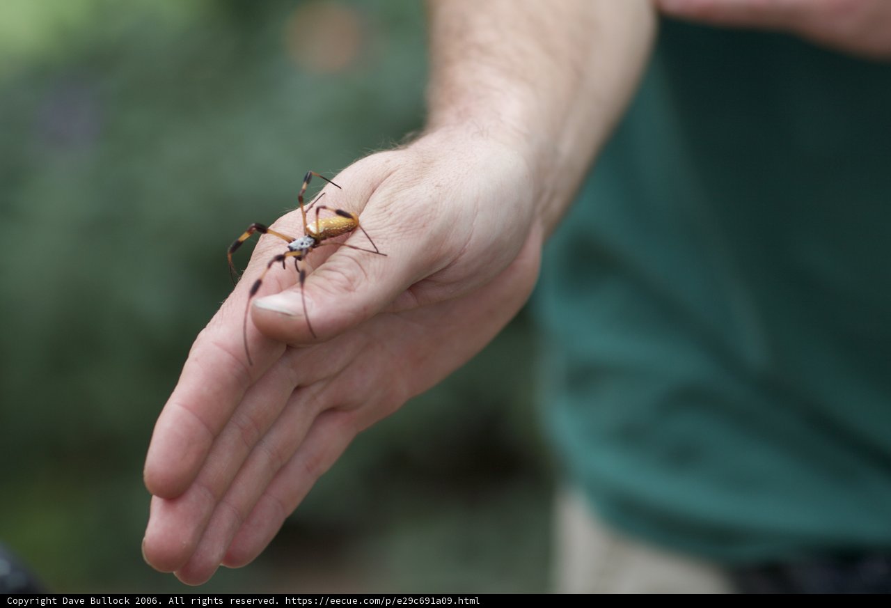 Fearless Encounter