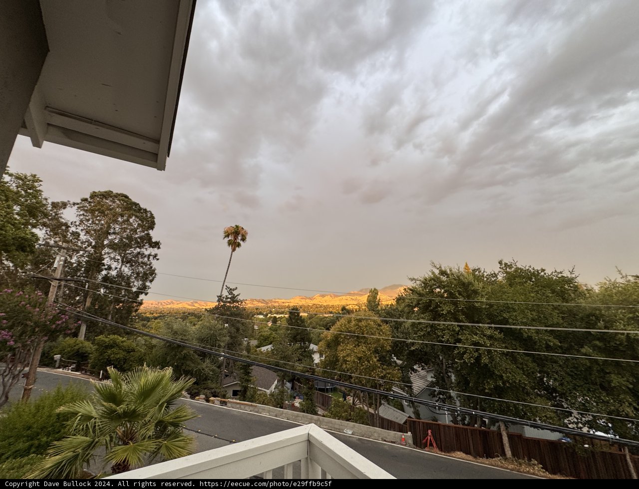 Sunset Over the Urban Oasis