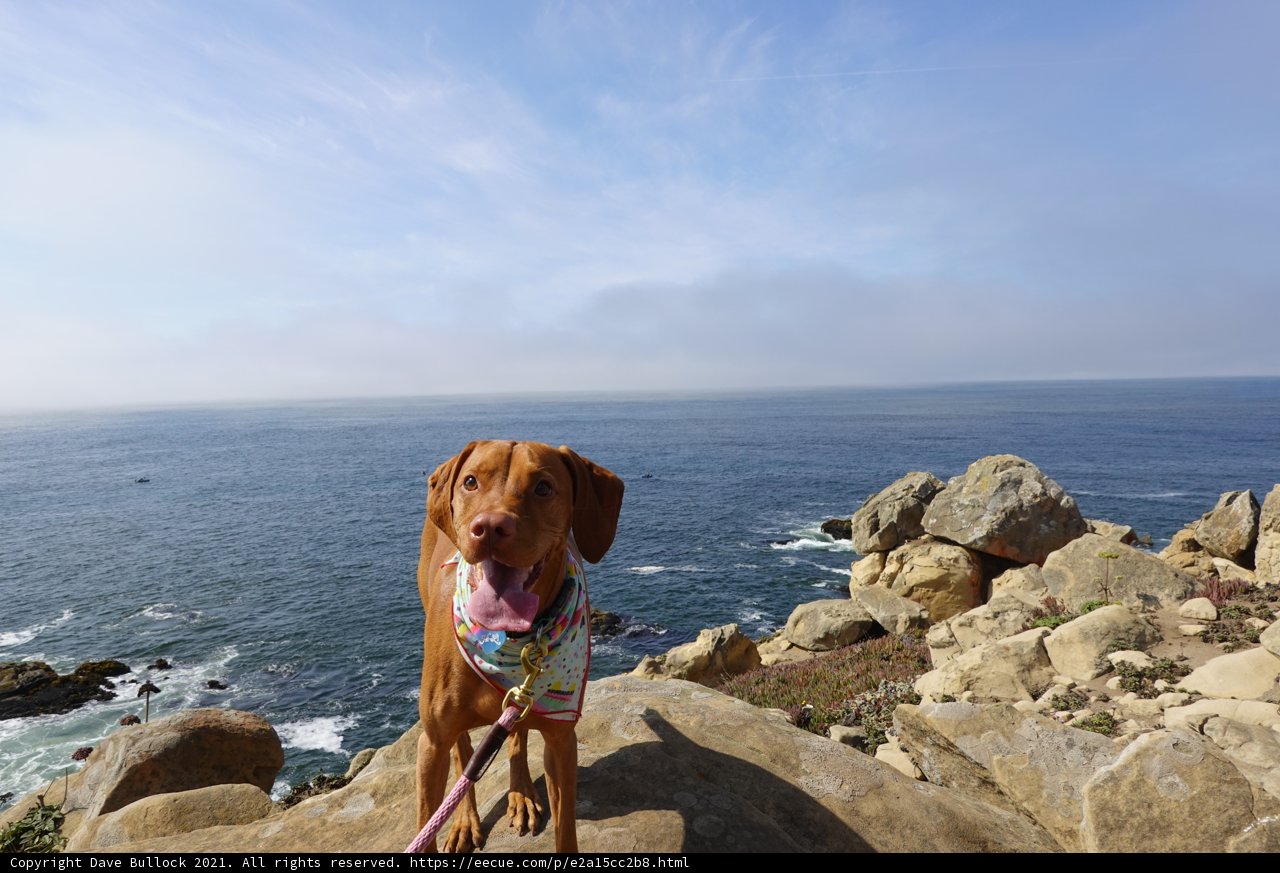 Rocky Beach Hangout