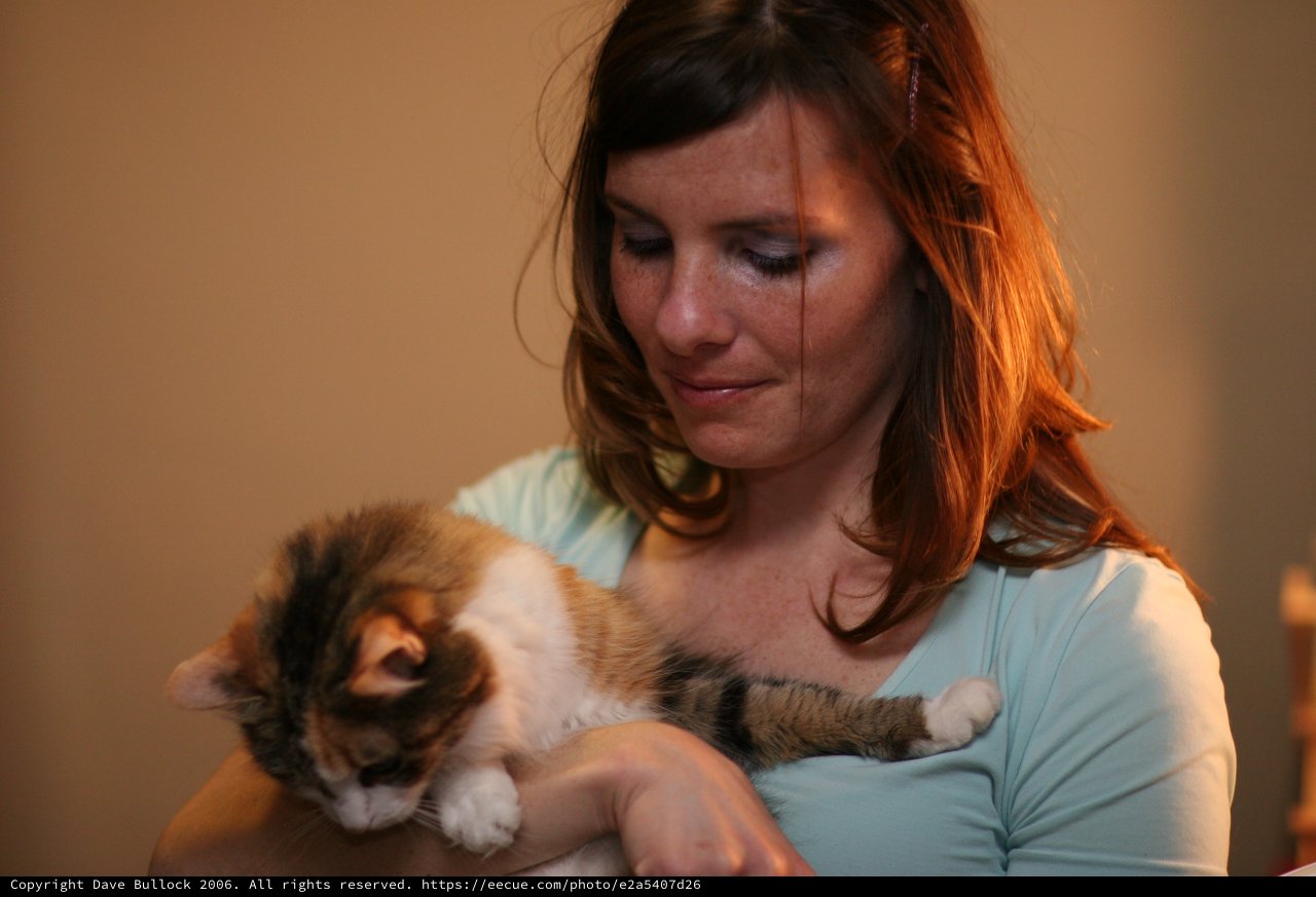 Woman Cradling Sleeping Calico Kitten Tenderly