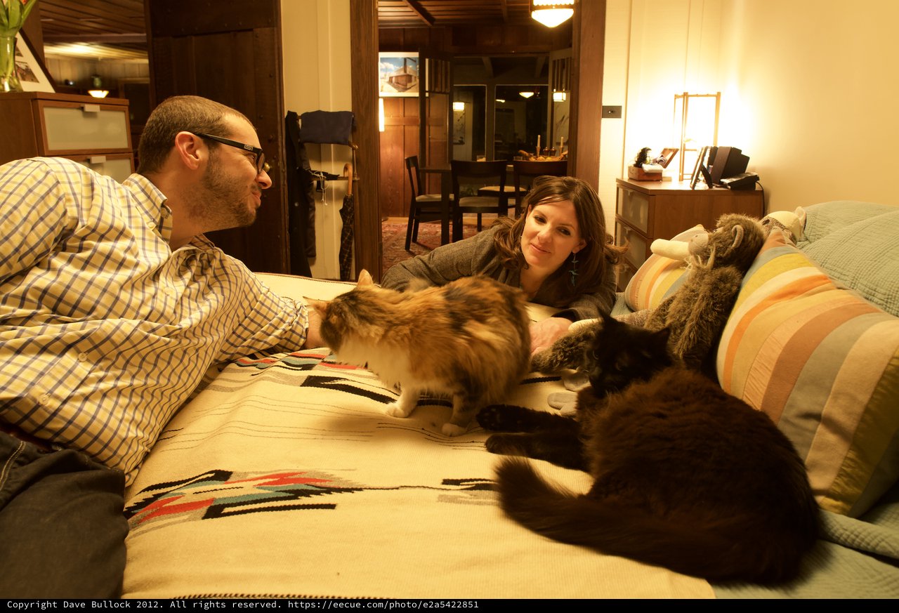 Couple Relaxing on Couch With Multiple Cats
