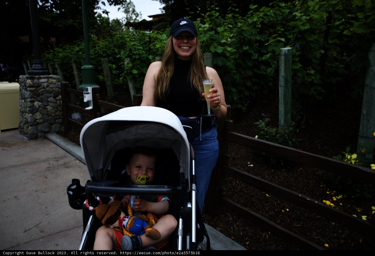 Magical Moments: A Stroll Through Disneyland