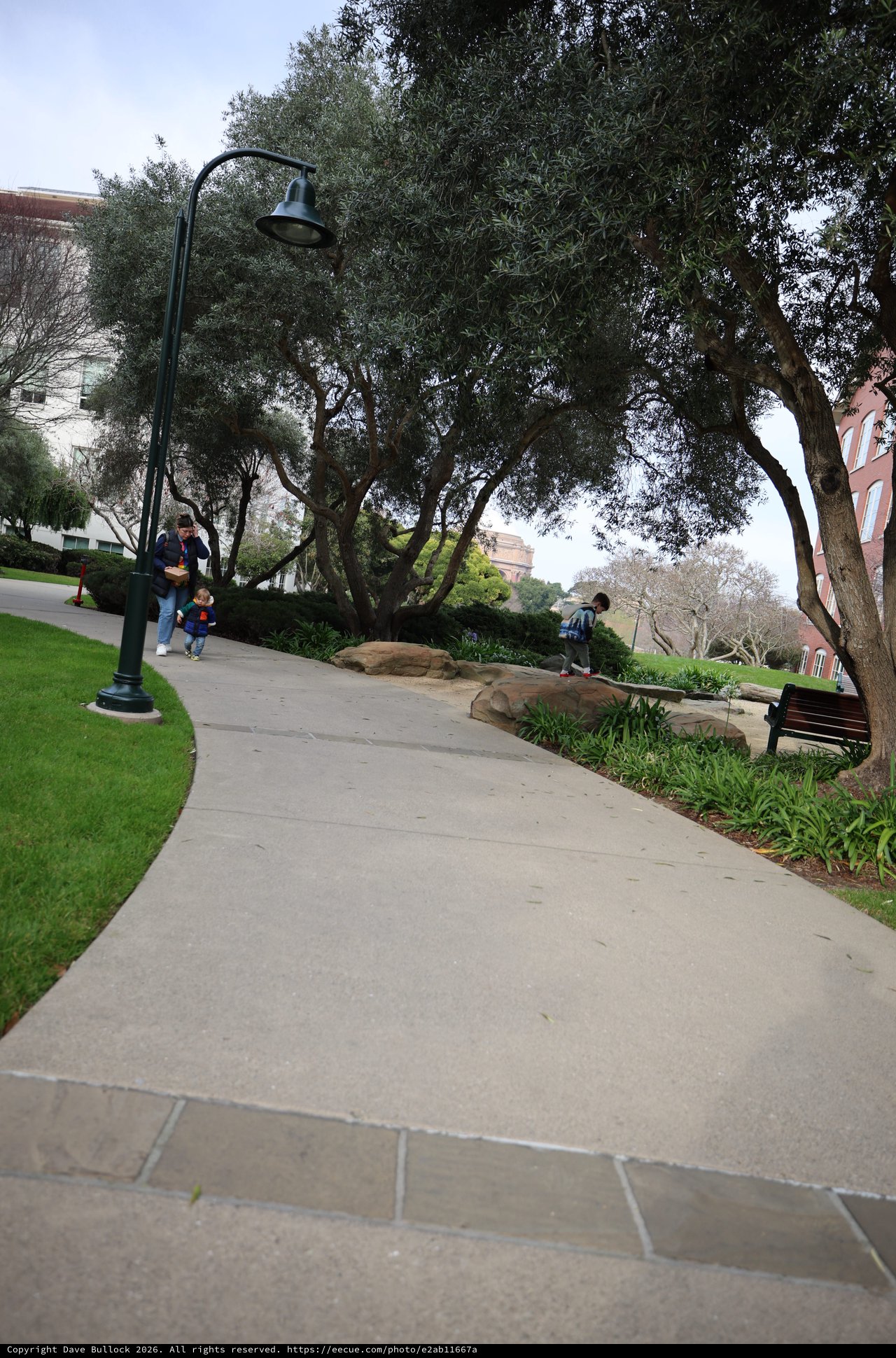 Curved Walkway Through Landscaped Park with Oak Trees