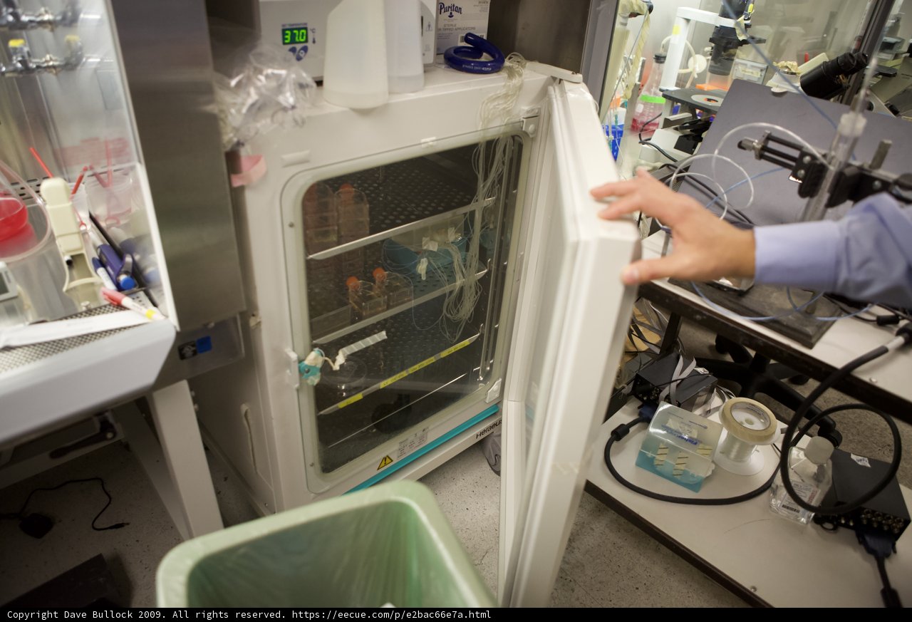 Refrigerating specimens at UCLA laboratory