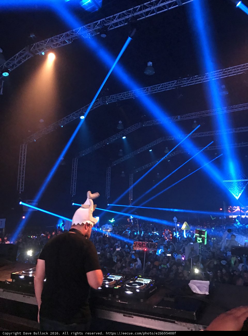 Spotlight on the Urban Entertainer