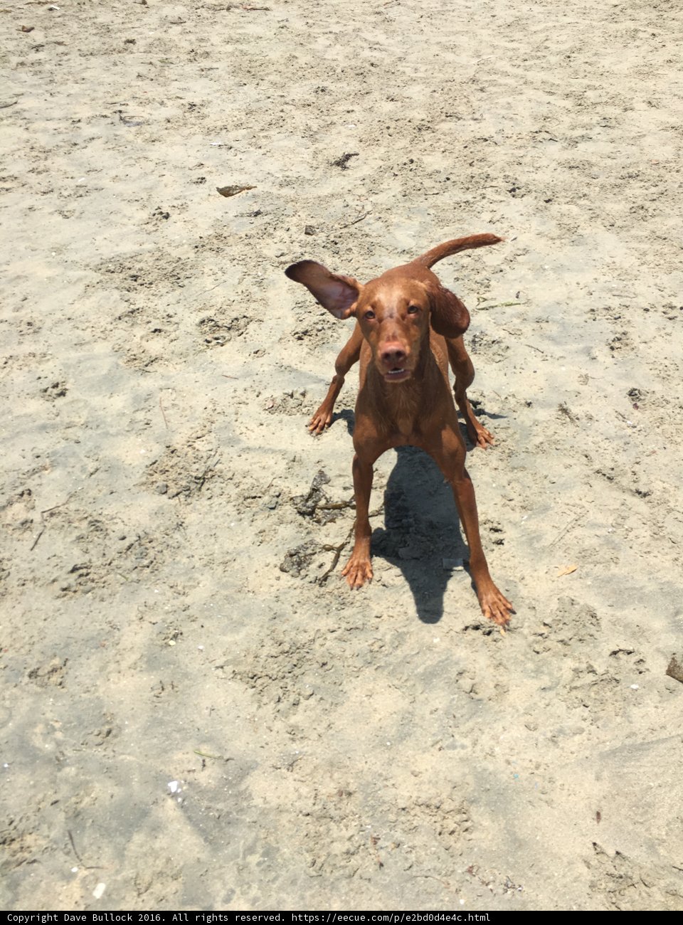 Soaking Up the Sun