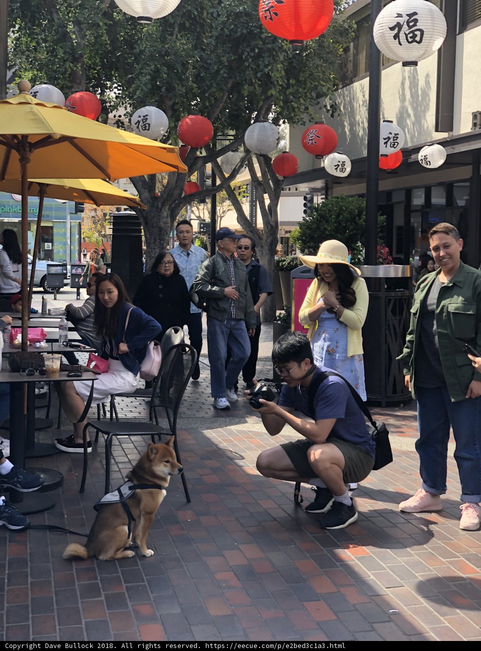 A Charming Afternoon at the Cafe