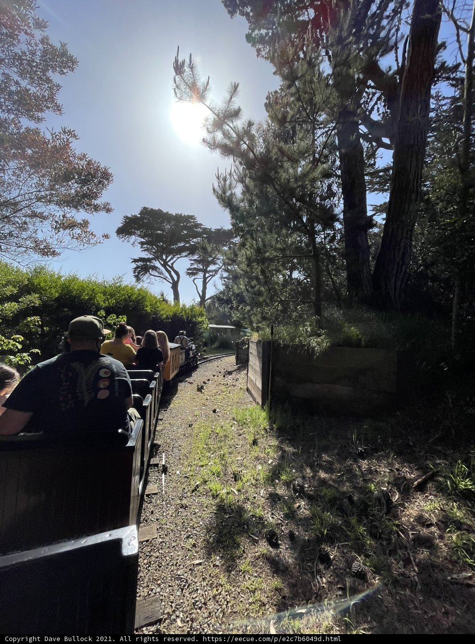 Train Ride through the Woods