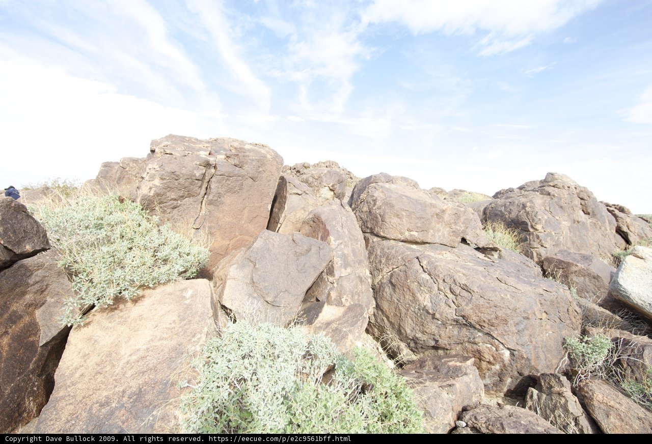 Captivating Scenery at Joshua Tree