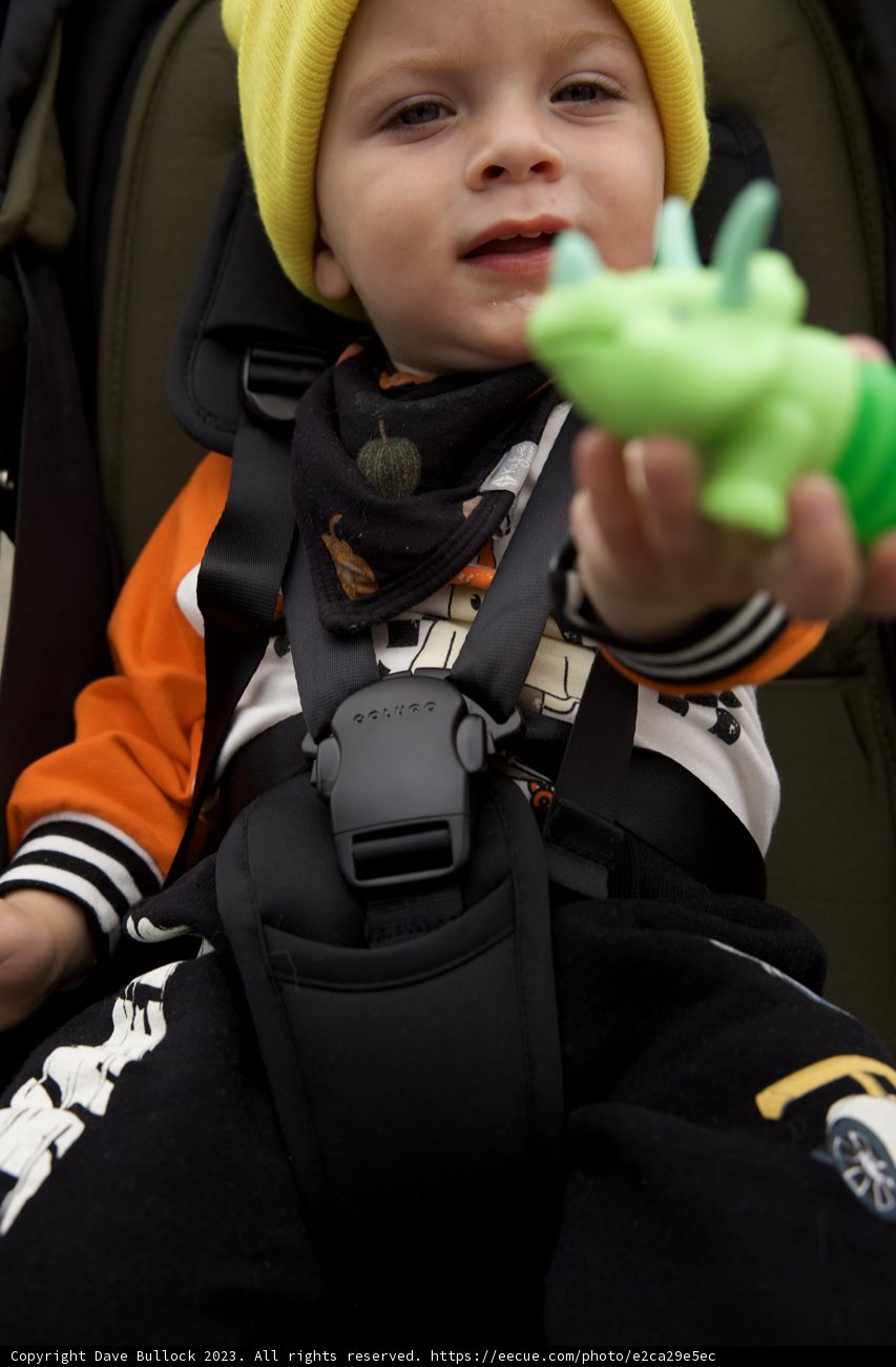 Wesley's Adventure with His Green Toy