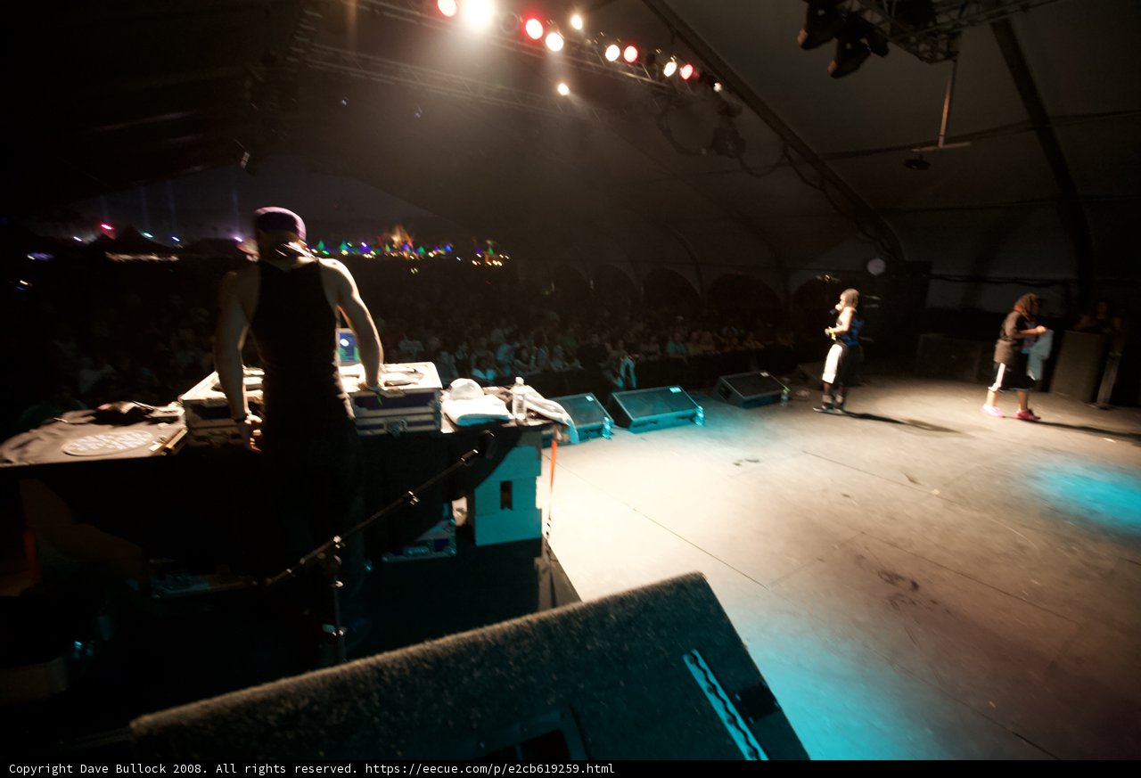 Rocking the Crowd at Coachella