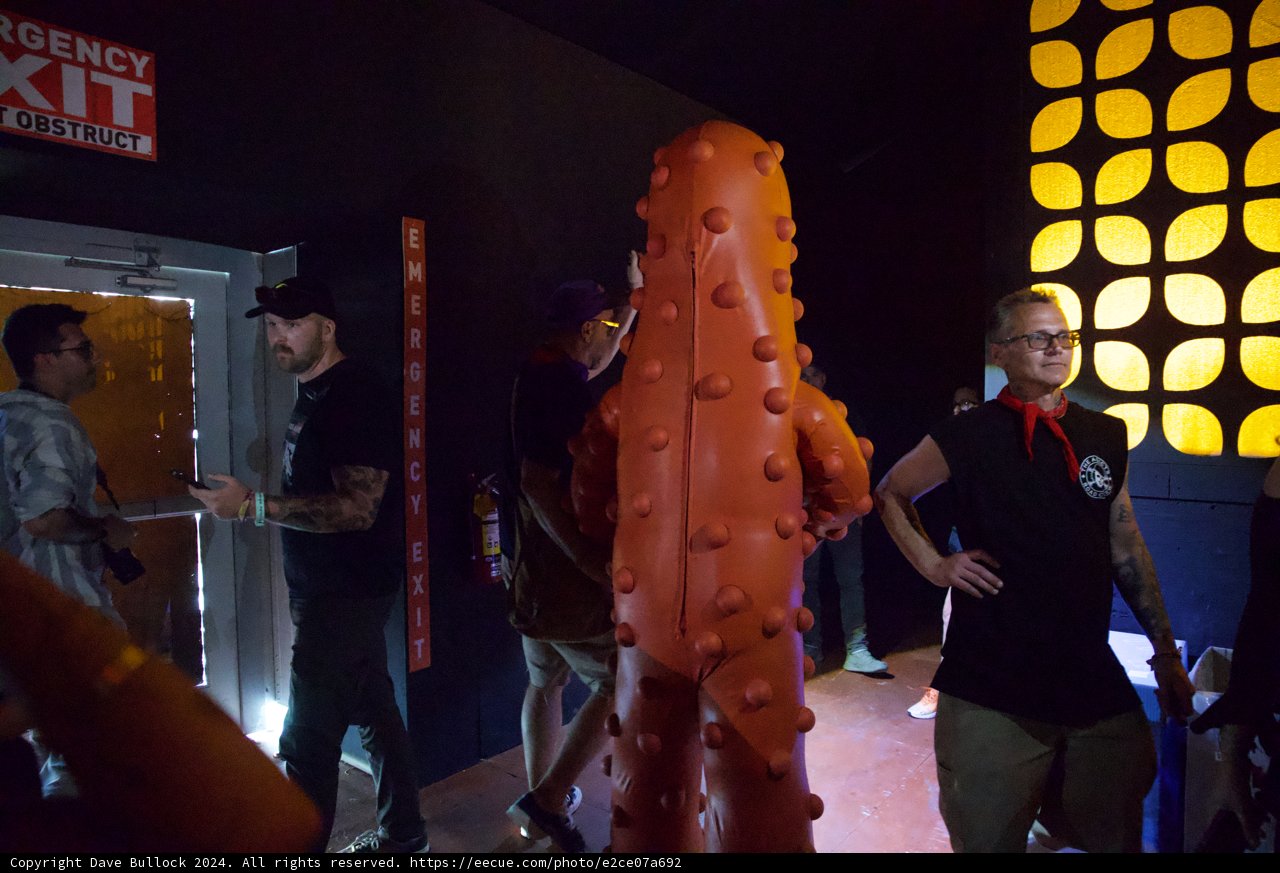 Backstage Vibrance at Coachella 2024