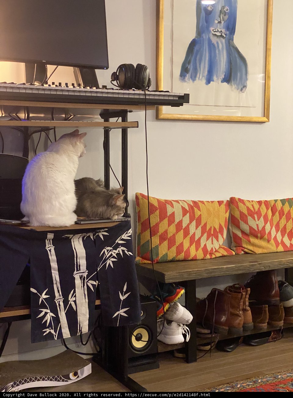 Feline Productivity
