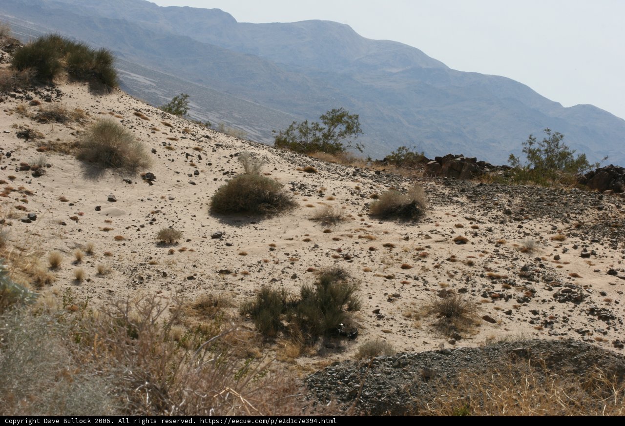 Mountain Majesty in the Desert