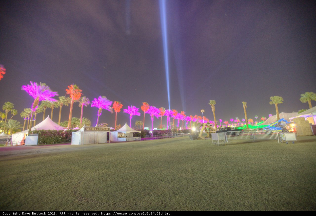 Light Show Amongst the Palms