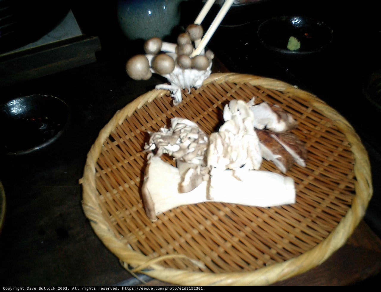 Mushroom Harvest in Shibuya