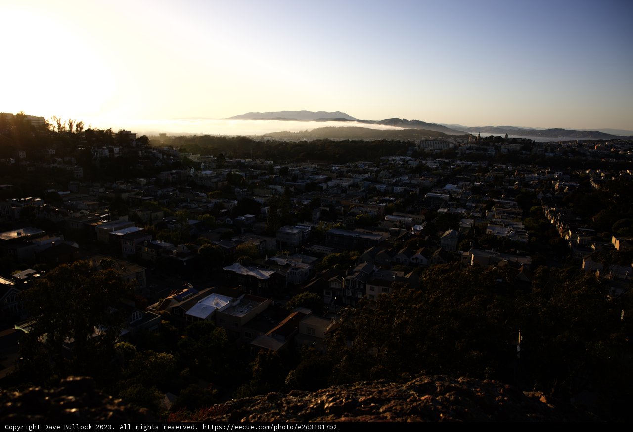 City From the Hilltop: An Urban Oasis