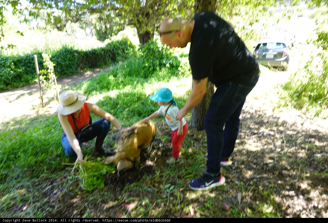 Garden Adventures