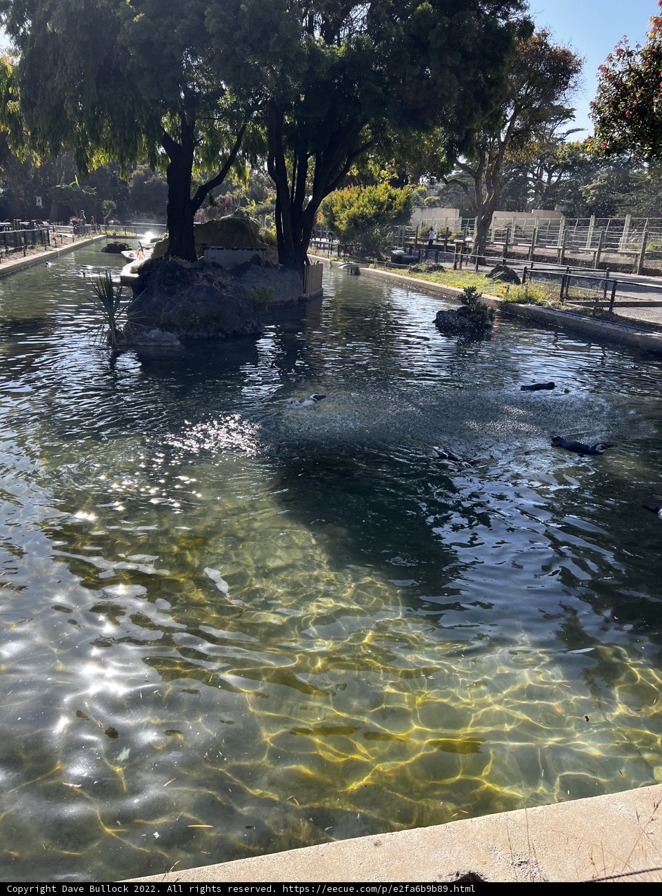 Serenity at the Pond
