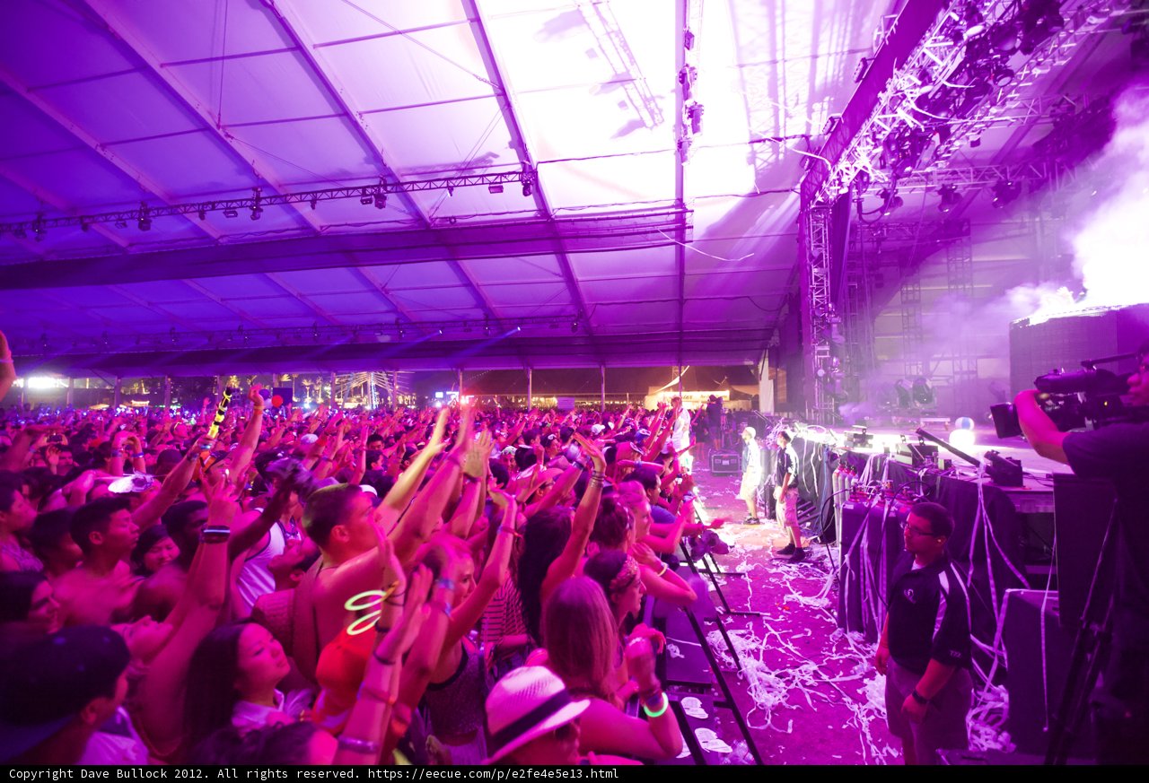 Coachella's Electric Crowd