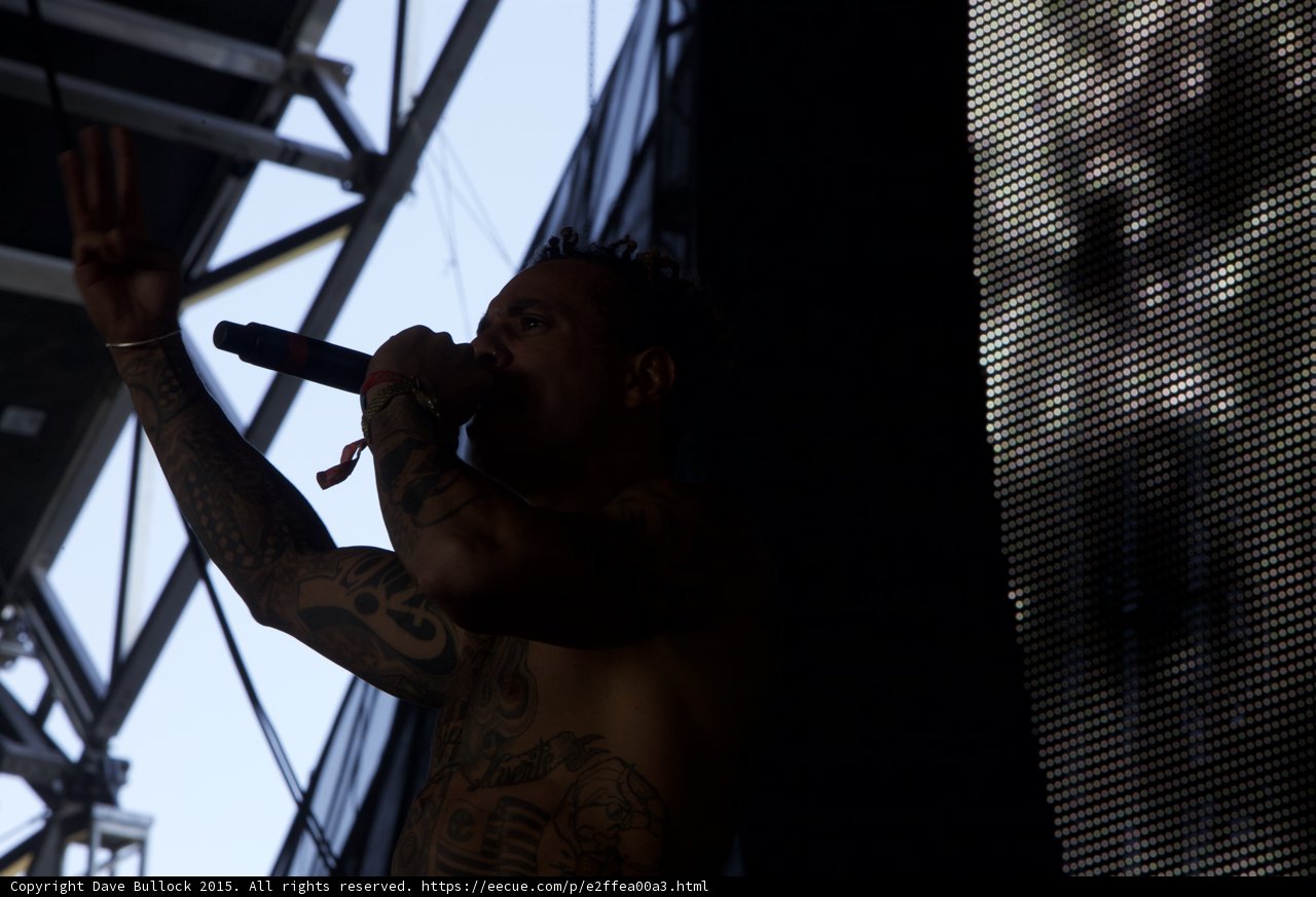 Ninja Microphone Silhouette