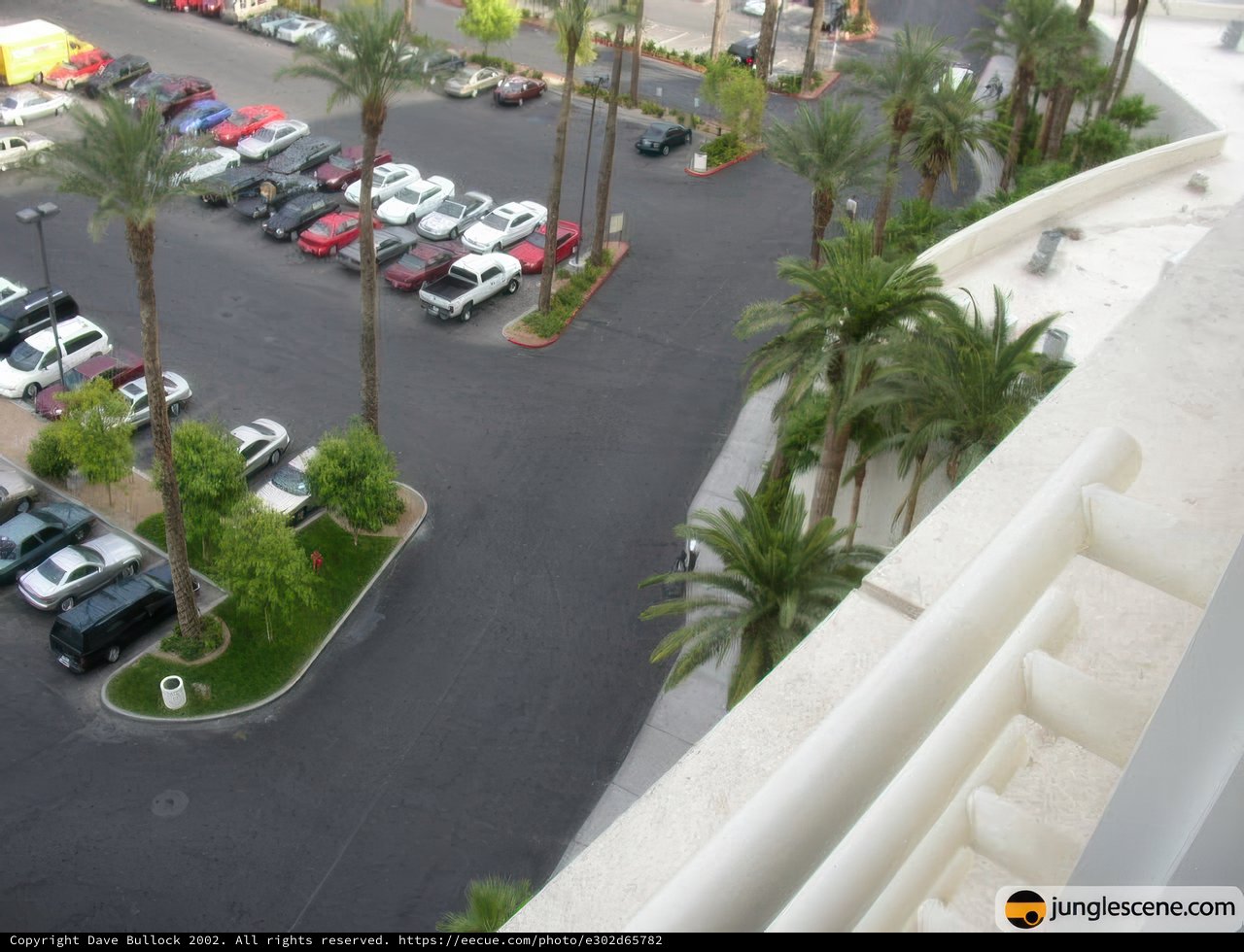 A Bird's Eye View of a Busy Parking Lot