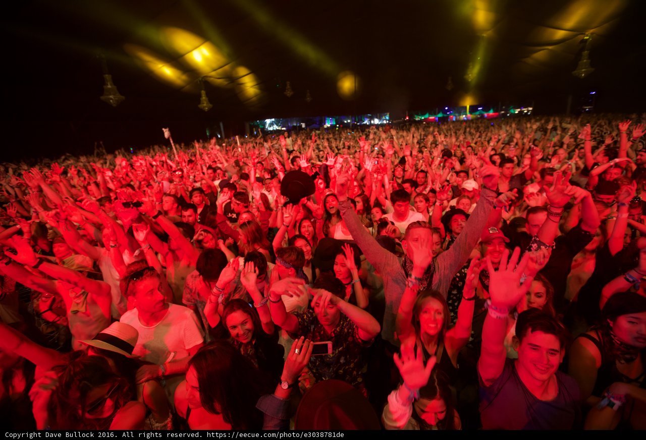 High Energy Concert Crowd