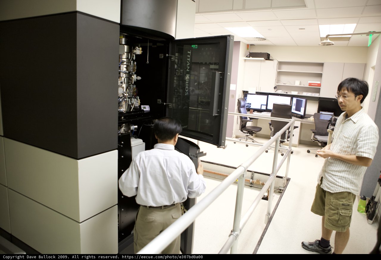 Laboratory Technicians Working on a Computer