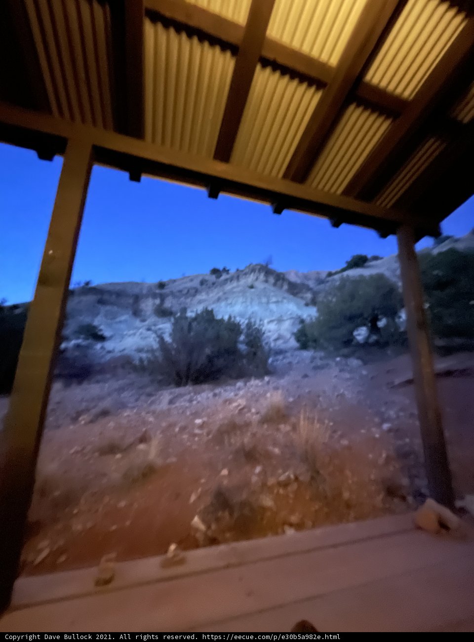 Desert Oasis from the Porch