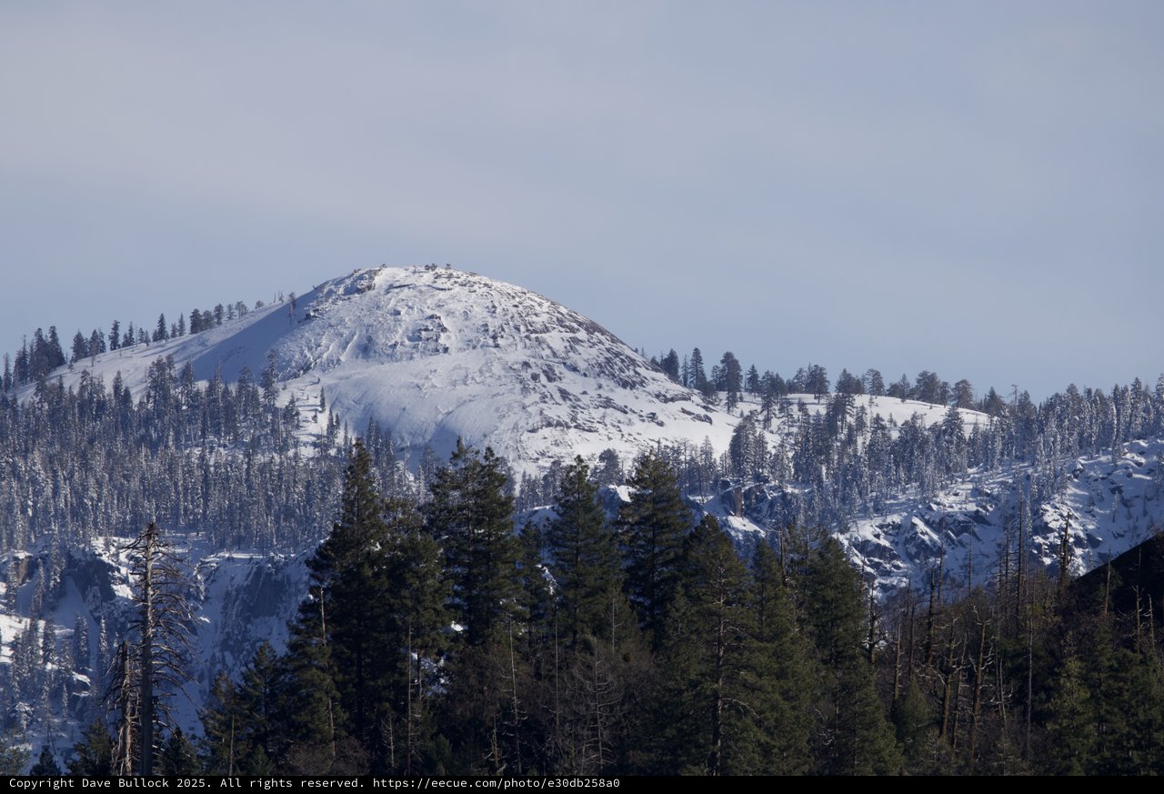 Snow-Covered Dome Peak Rising Above Winter Forest