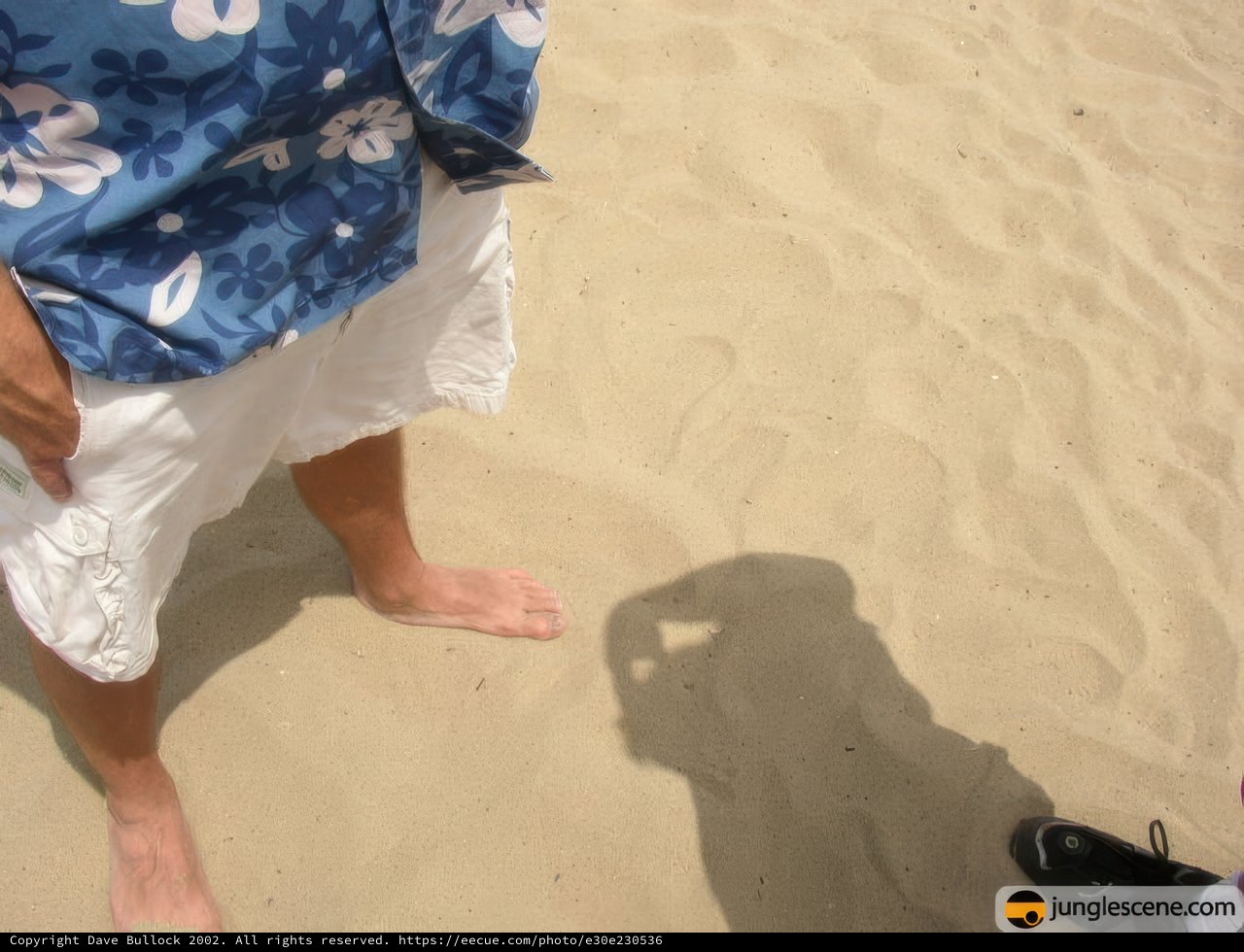 Standing Tall on the Sandy Beaches