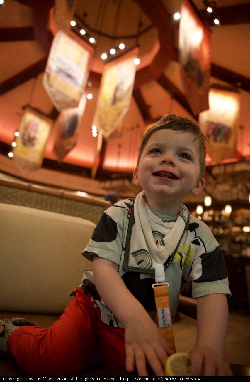 A Joyful Moment in DisneyWorld Animal Kingdom