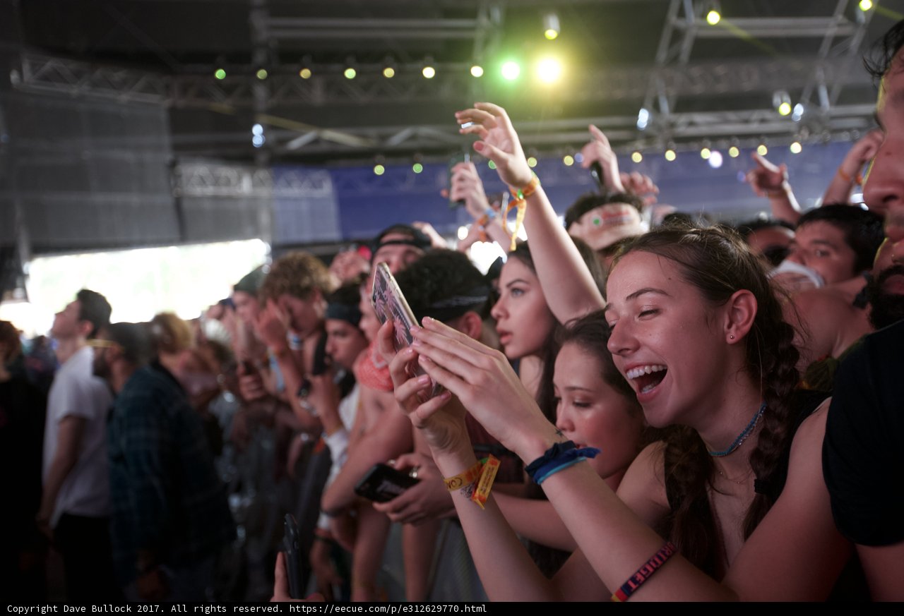 Picture-Perfect Crowd