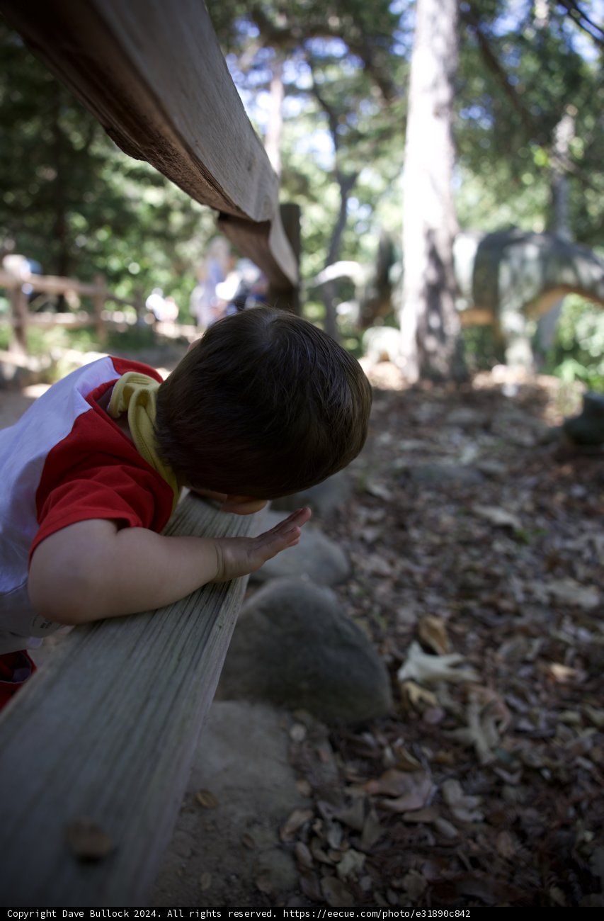 Exploring the Great Outdoors
