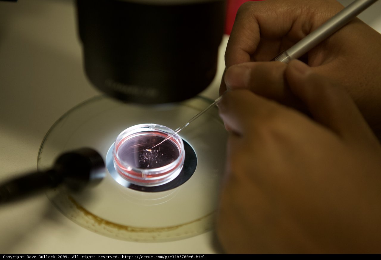 Microscopic Analysis