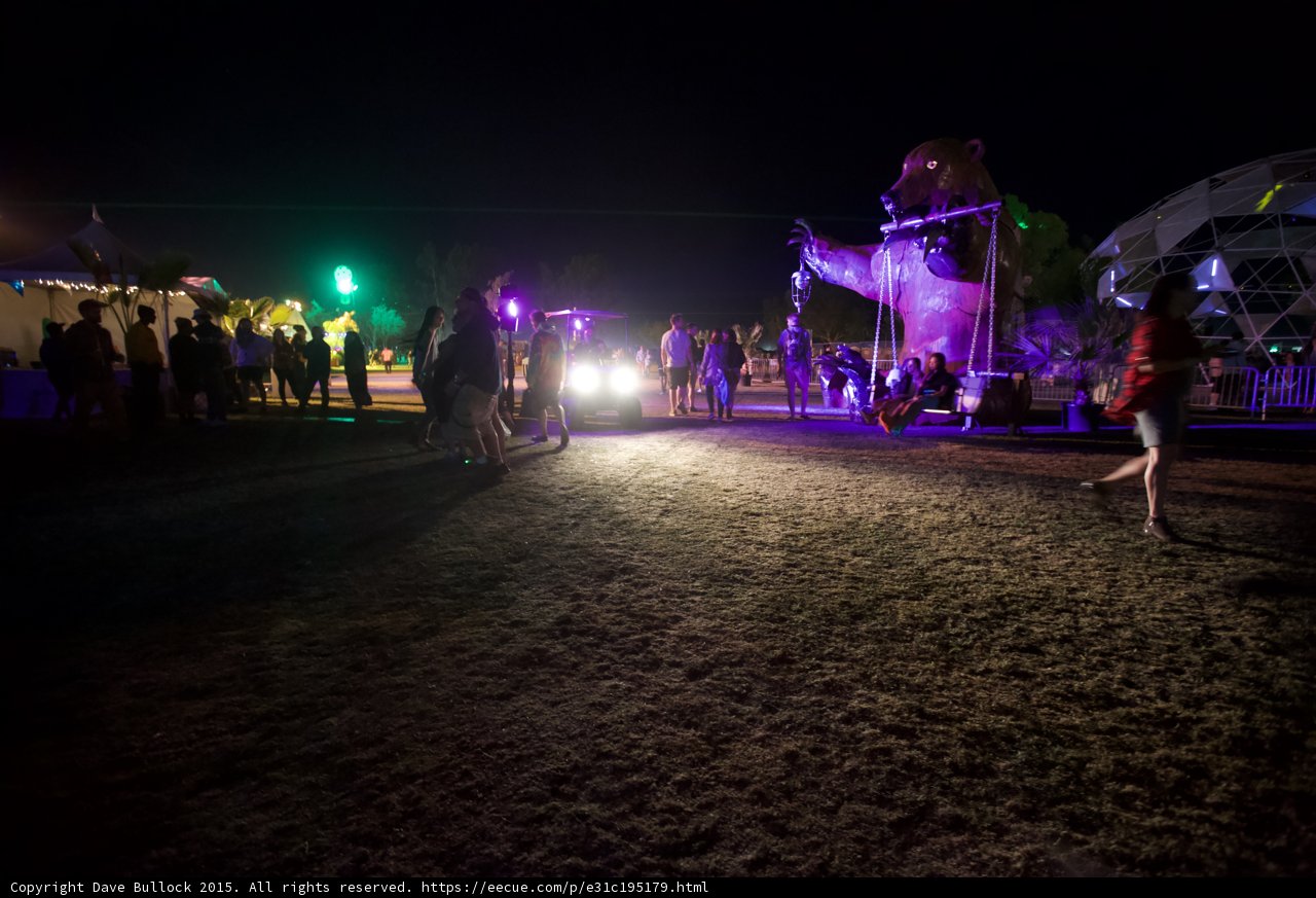 Bear and Dome at Night