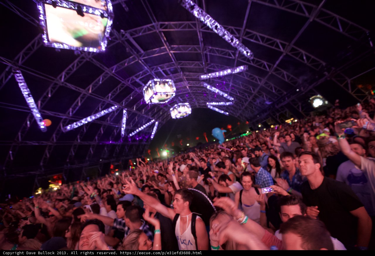 Coachella Crowd Goes Wild