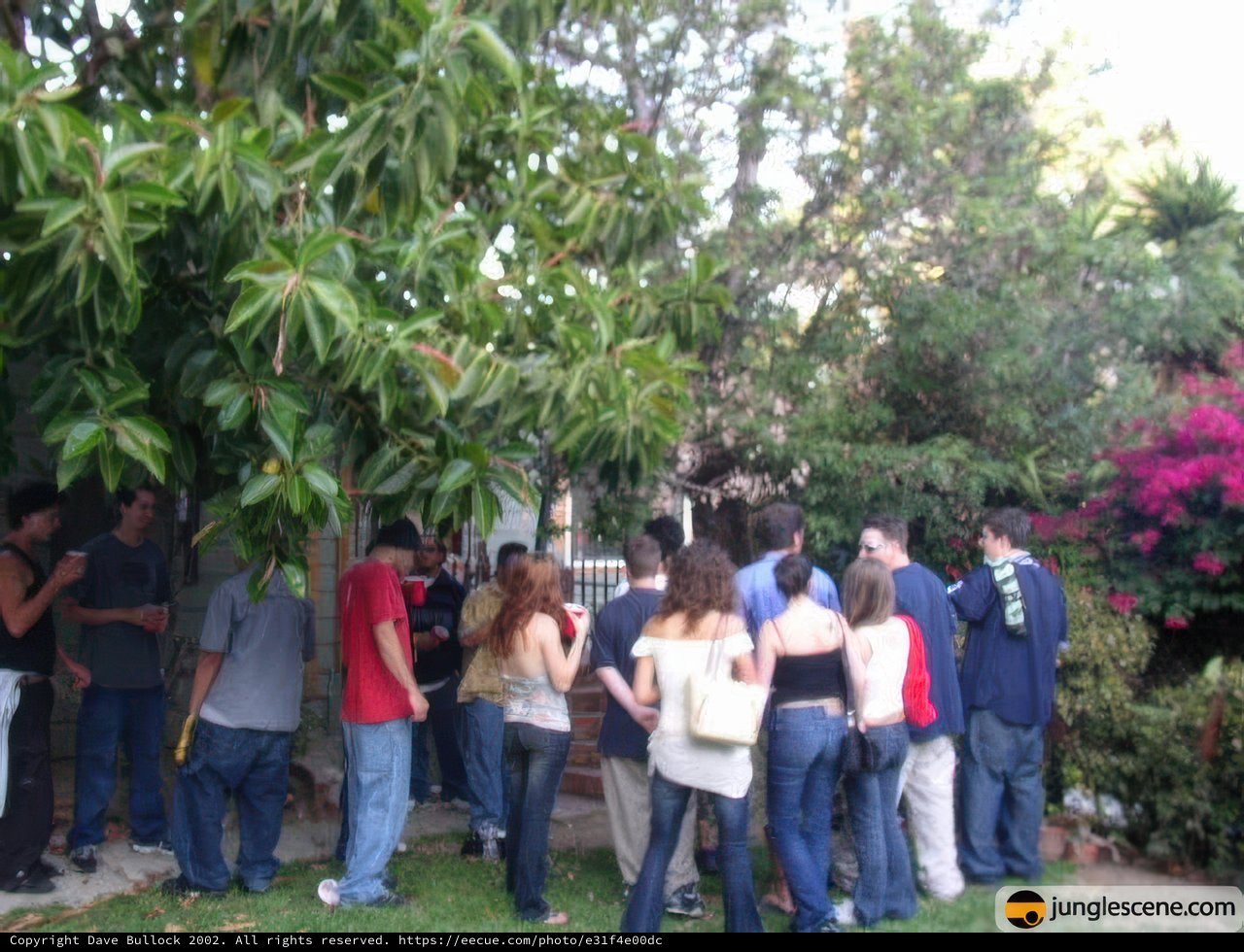 Gathering Around the Tree