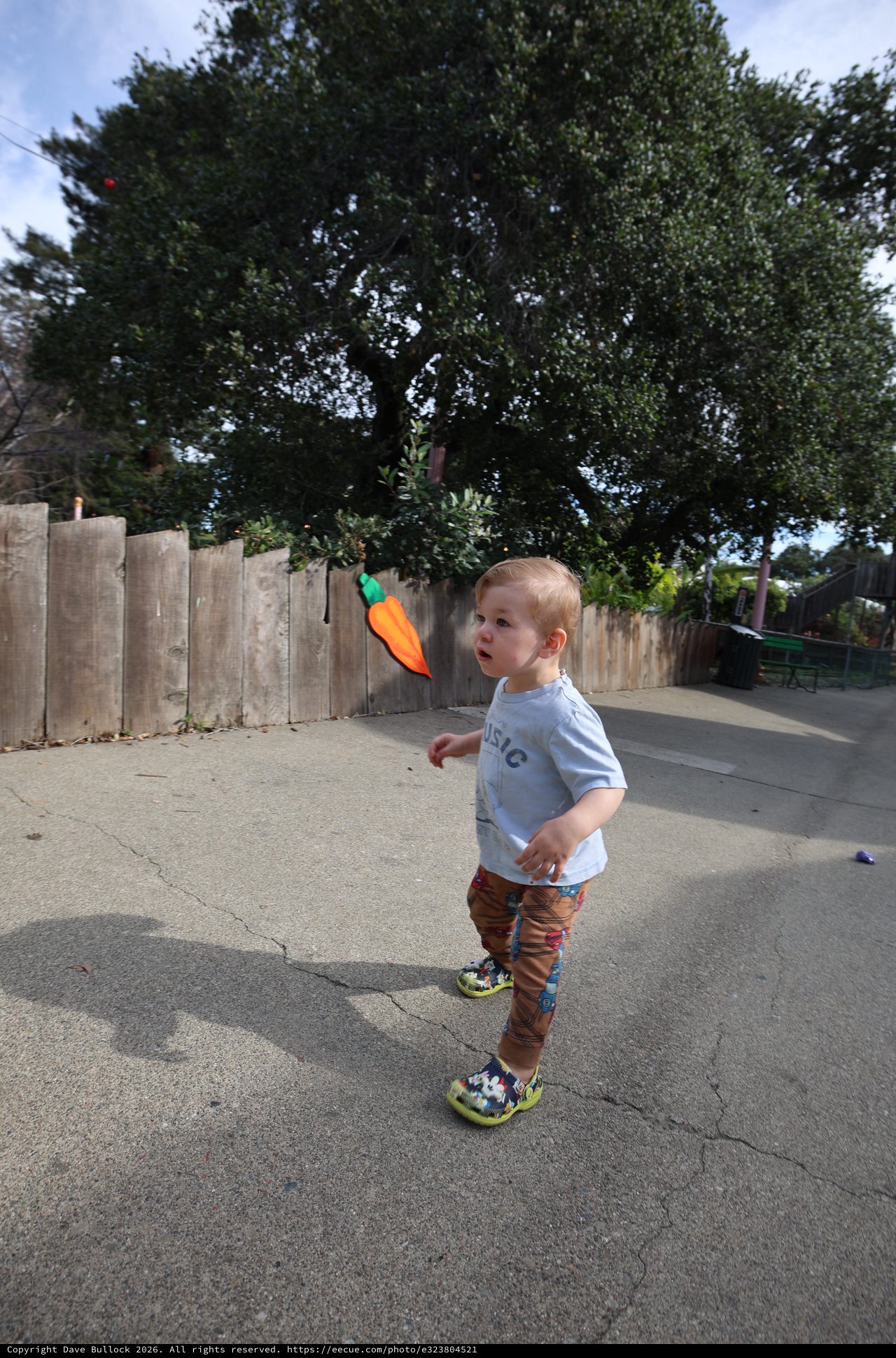 Young Child Playing with Toy in Backyard