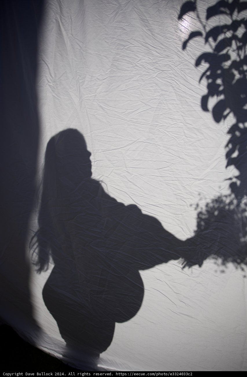 Anticipation in Silhouette