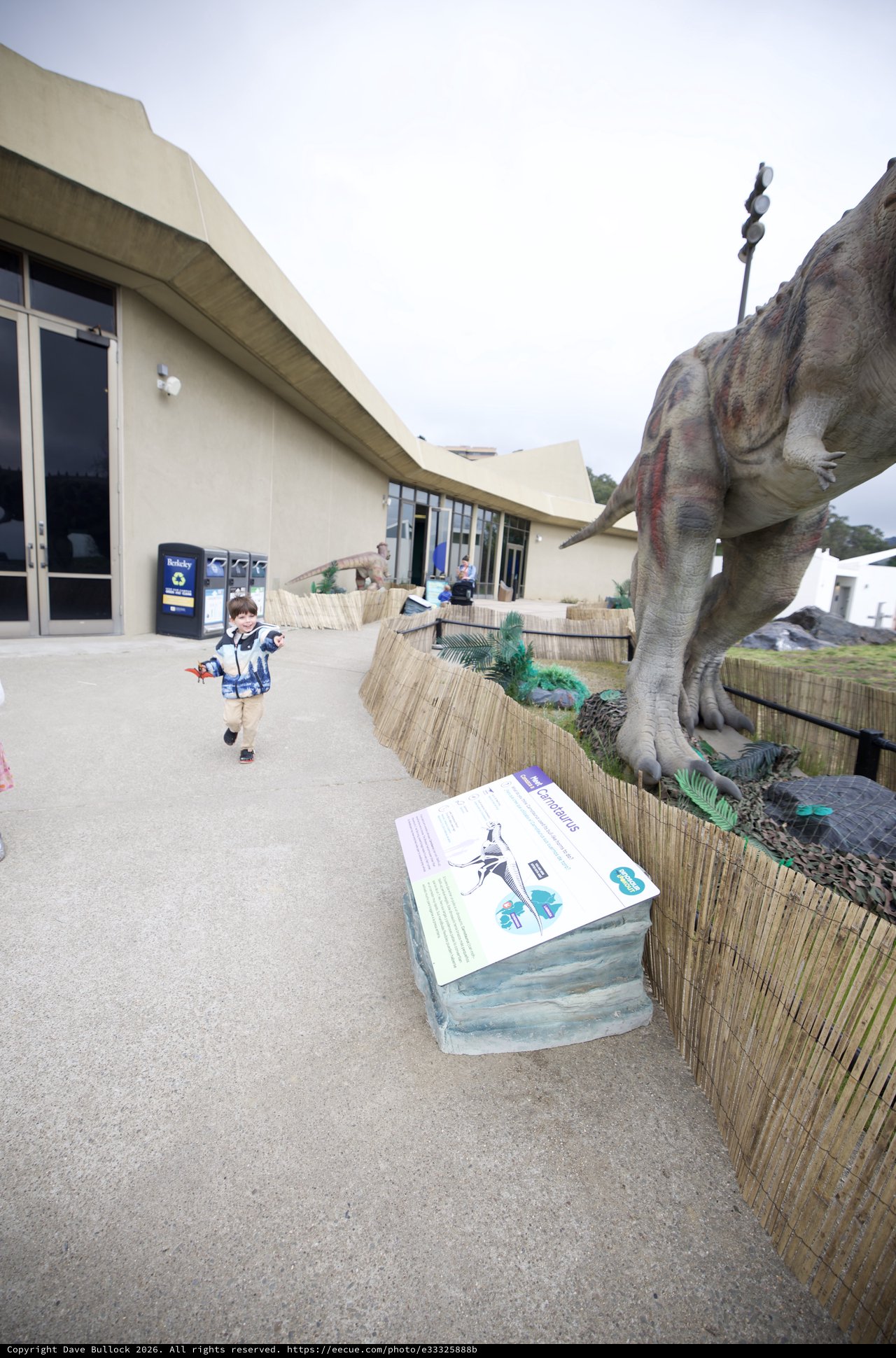 Child Exploring Dinosaur Exhibit at Modern Museum