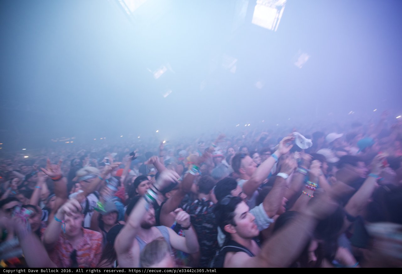 Coachella 2016: The Electric Crowd
