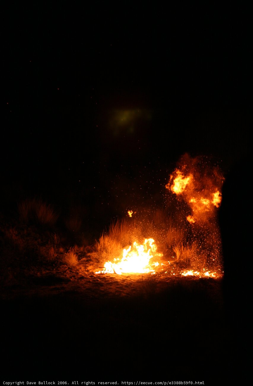 Burning Bright in the Night