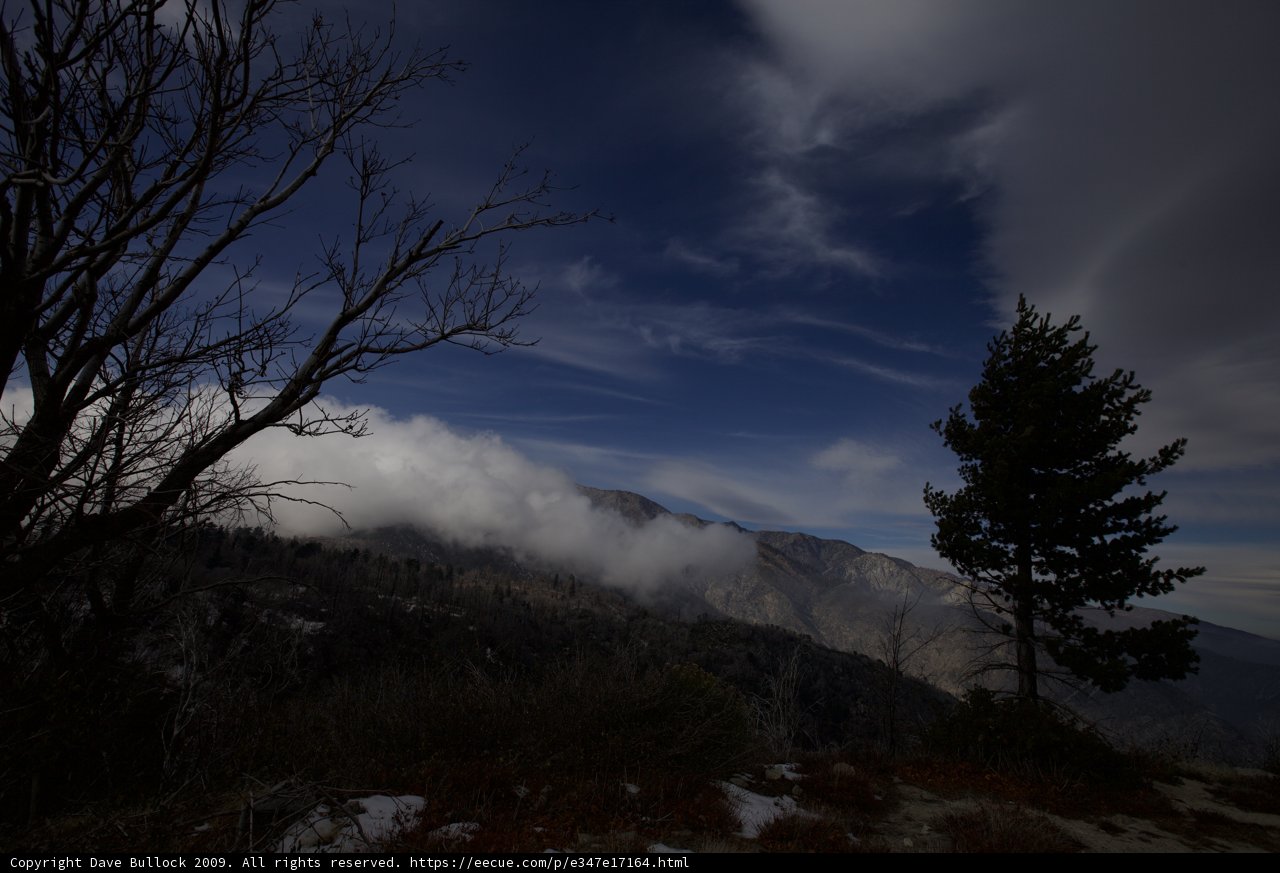 Lone Fir against Majestic Mountains