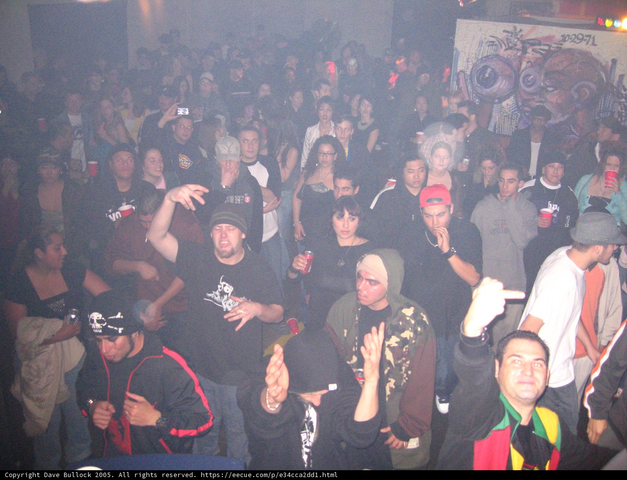Club Night Crowd