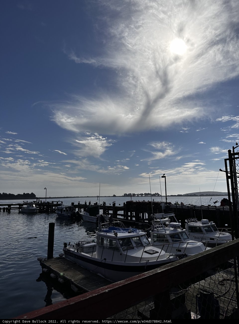 Cloudy Day at Bodega Bay Harbor